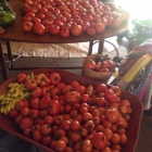 Tables full of heirloom tomatoes