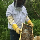 Rob, our beekeeper