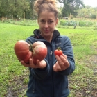Susan with tomatoes