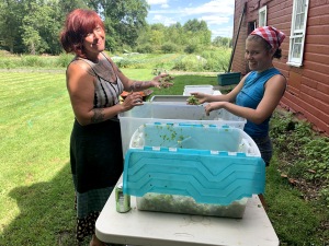 Liseli-and-Ellie-Microgreens