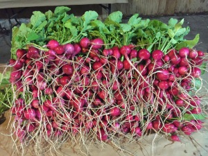 Radish-Pile