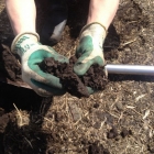 Susan examining soil for moisture content